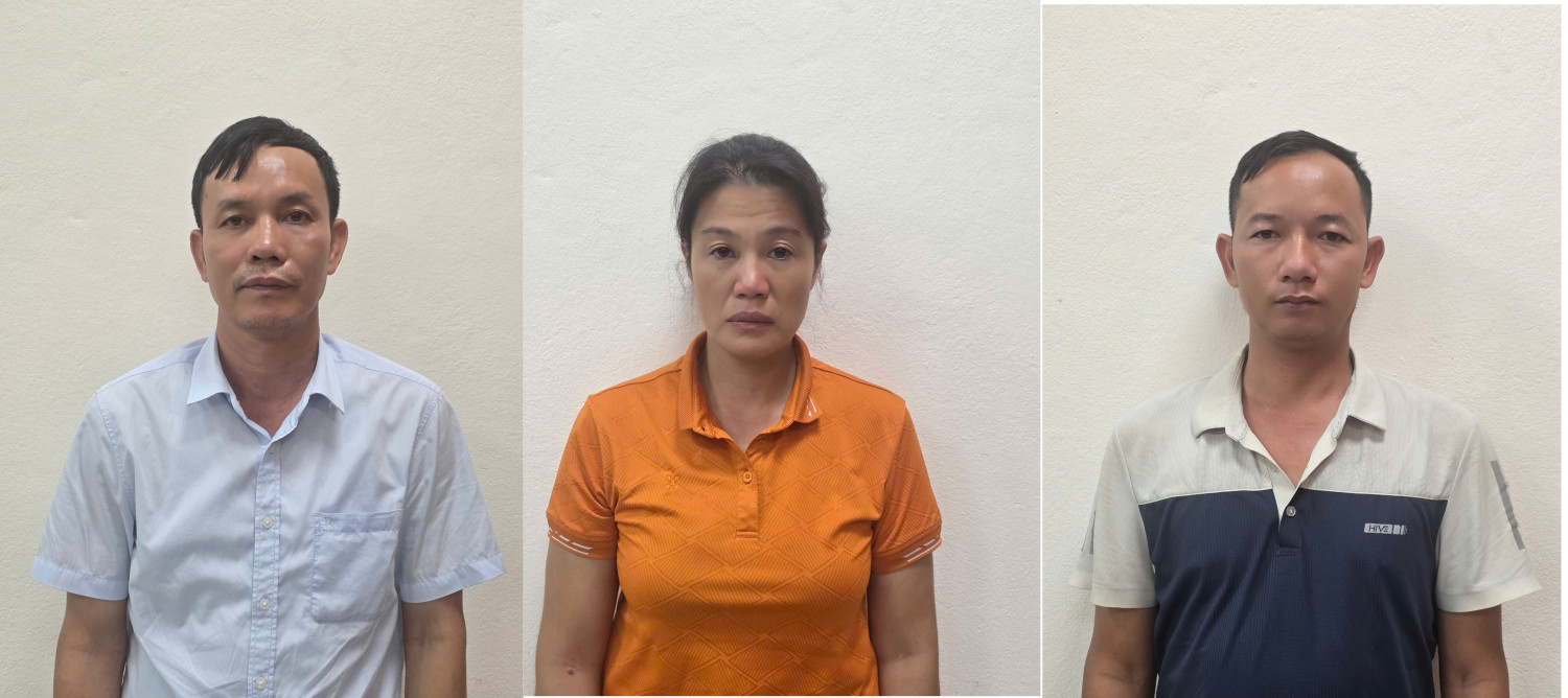 Khởi tố giám đốc công ty lâm nghiệp vi phạm khai thác rừng - Ảnh 1.