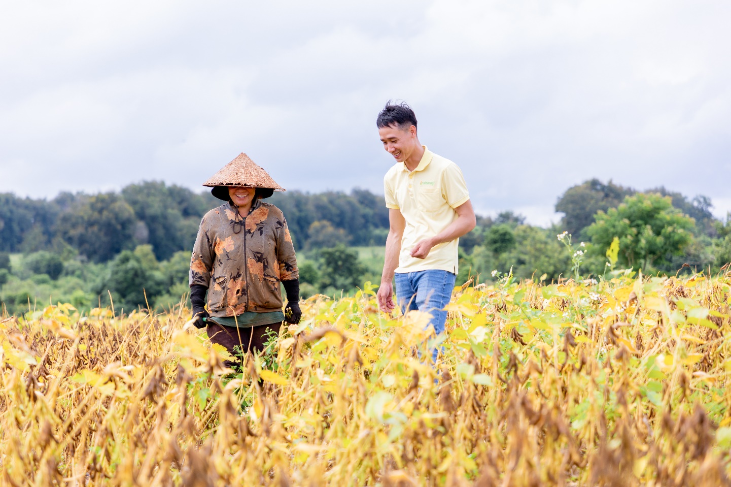 Một hạt đậu có thể “đi” được bao xa?- Ảnh 3. Một hạt đậu có thể “đi” được bao xa?- Ảnh 3.