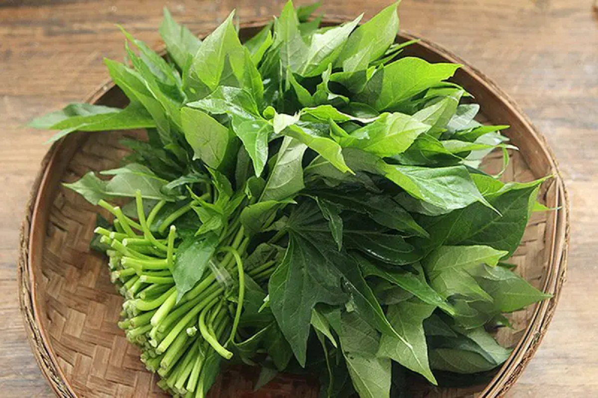 Ăn 1 mớ rau này tốt ngang thịt bò, ngoài chợ chỉ vài nghìn đồng ít ai hay - Ảnh 1.