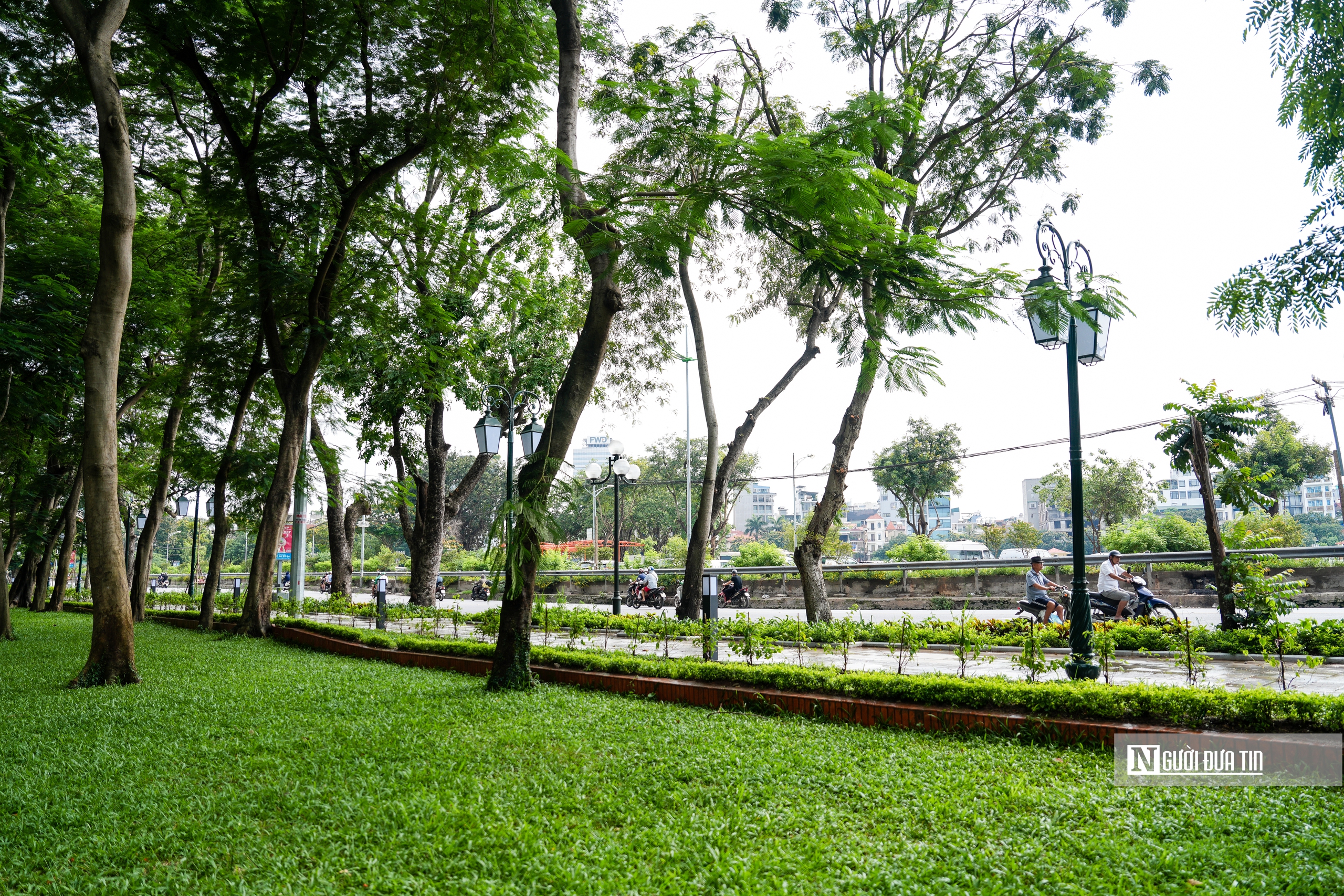 Ngắm những "lá phổi xanh" giữa lòng Hà Nội- Ảnh 16. Ngắm những "lá phổi xanh" giữa lòng Hà Nội- Ảnh 16.
