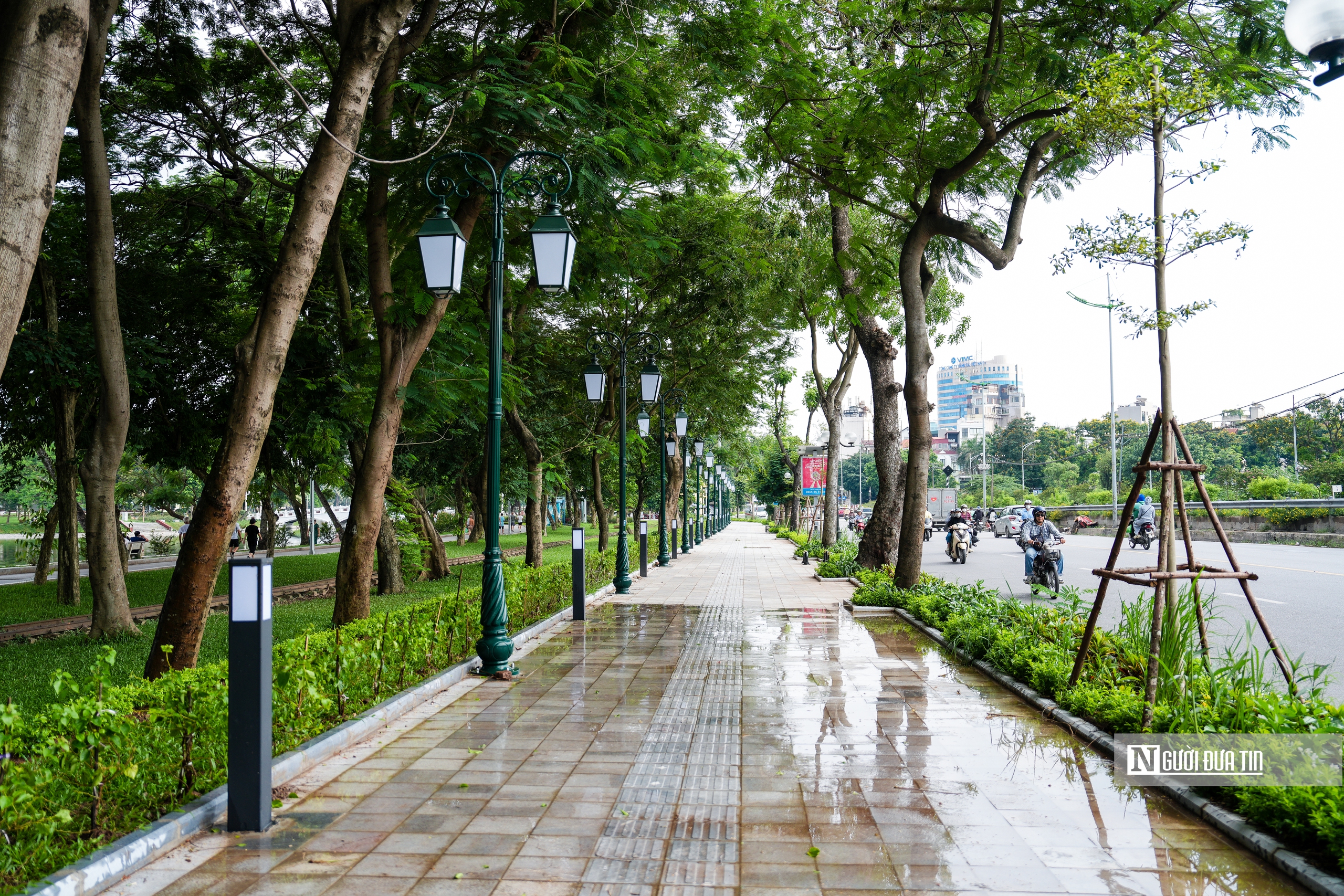 Ngắm những "lá phổi xanh" giữa lòng Hà Nội- Ảnh 15. Ngắm những "lá phổi xanh" giữa lòng Hà Nội- Ảnh 15.