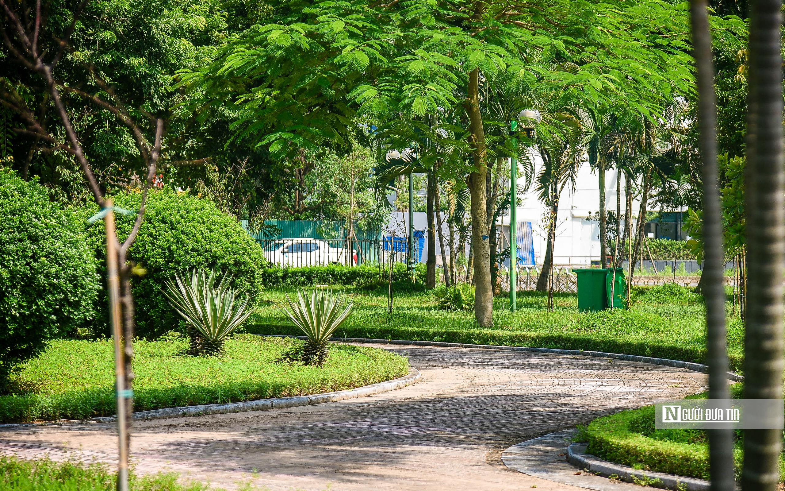 Ngắm những "lá phổi xanh" giữa lòng Hà Nội- Ảnh 8. Ngắm những "lá phổi xanh" giữa lòng Hà Nội- Ảnh 8.