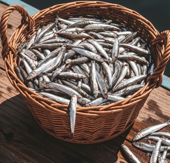 Loại cá giàu canxi hơn cá hồi, ở chợ Việt vừa nhiều vừa rẻ - Ảnh 2.
