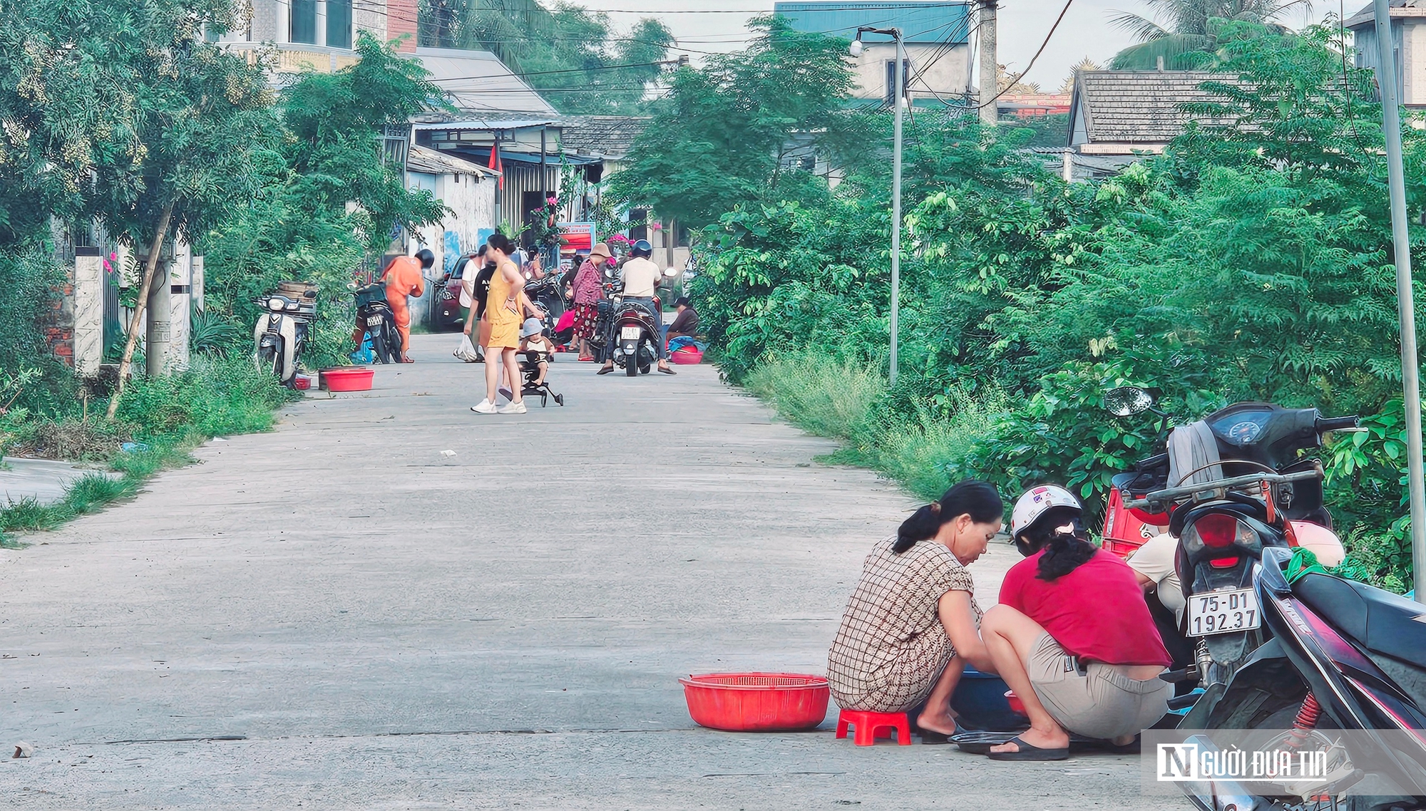 Ảnh: Bình yên sáng sớm ở chợ cá ven phá Tam Giang- Ảnh 6. Ảnh: Bình yên sáng sớm ở chợ cá ven phá Tam Giang- Ảnh 6.