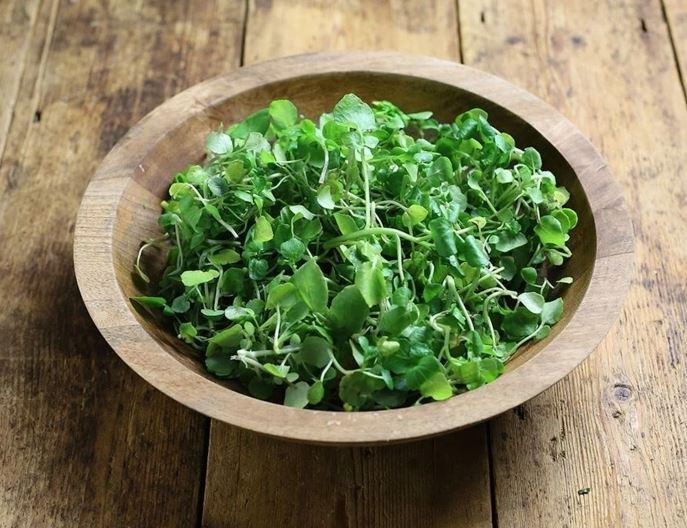 Loại rau tốt nhất thế giới, ở chợ Việt vừa nhiều vừa rẻ- Ảnh 1. Loại rau tốt nhất thế giới, ở chợ Việt vừa nhiều vừa rẻ- Ảnh 1.