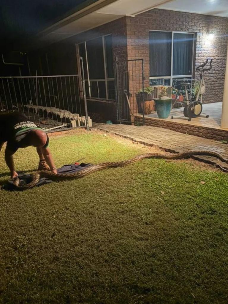 Nghe tiếng động lạ, đi kiểm tra, người đàn ông chứng kiến cảnh tượng nổi da gà- Ảnh 2. Nghe tiếng động lạ, đi kiểm tra, người đàn ông chứng kiến cảnh tượng nổi da gà- Ảnh 2.