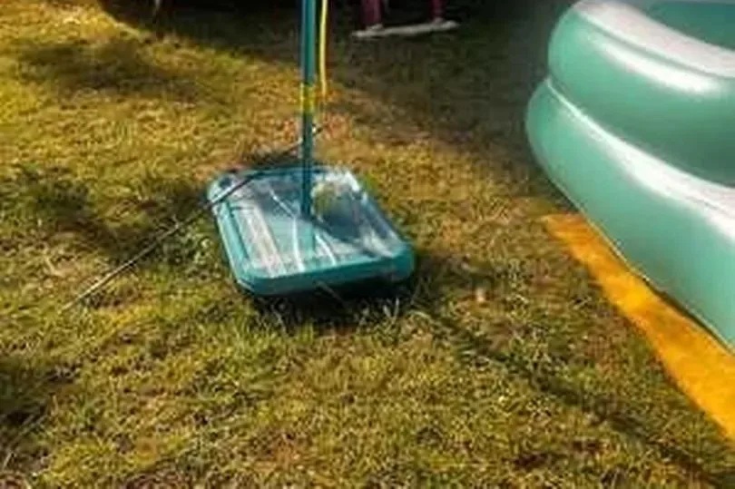 Nghe tiếng động lạ sau vườn, người phụ nữ sốc nặng khi thấy thứ đáng sợ - Ảnh 1. Nghe tiếng động lạ sau vườn, người phụ nữ sốc nặng khi thấy thứ đáng sợ - Ảnh 1.
