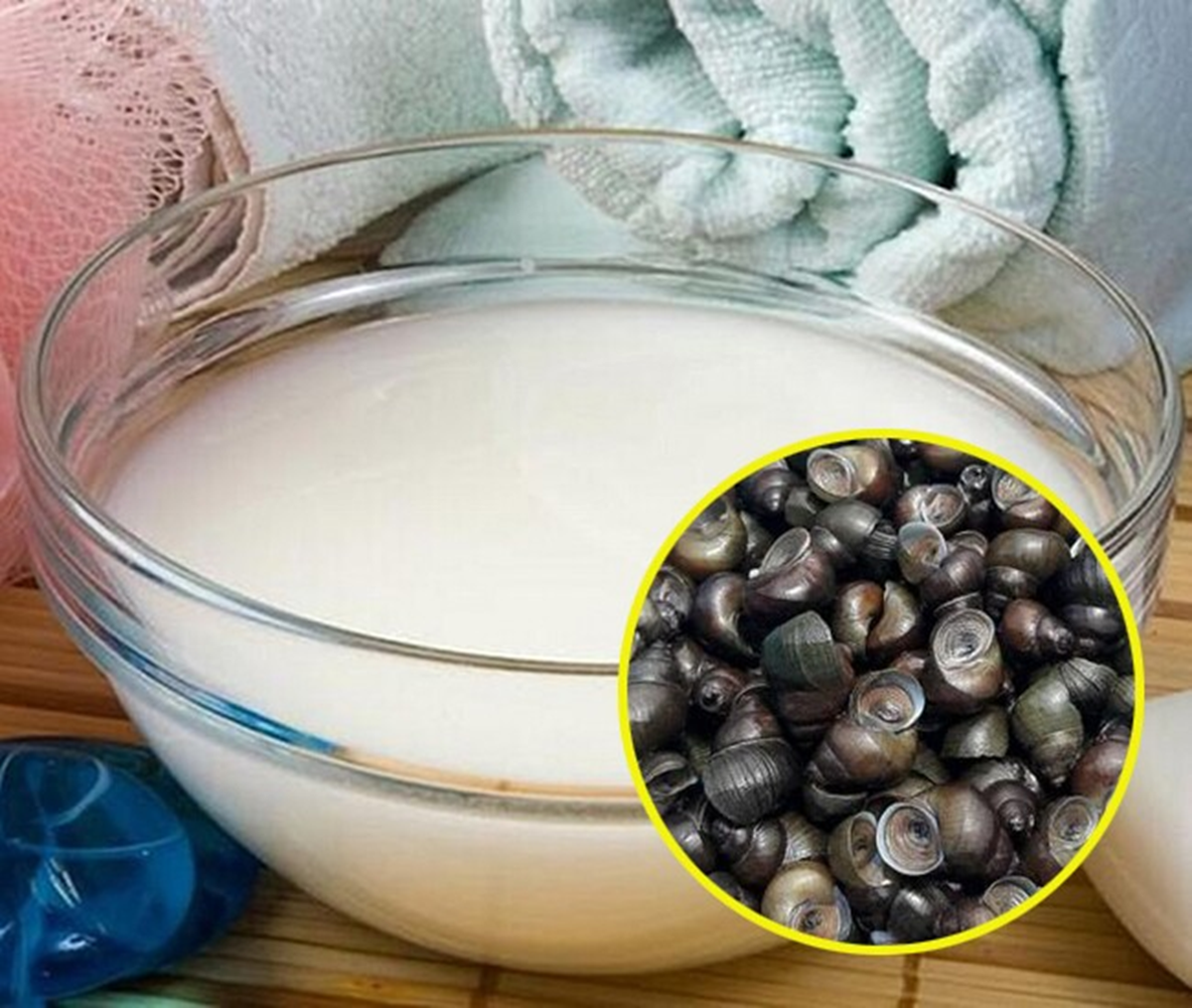 Luộc ốc phải nhớ ngay 3 điều này, ốc vừa sạch lại ngon giòn "chuẩn" vị nhà hàng - Ảnh 2.