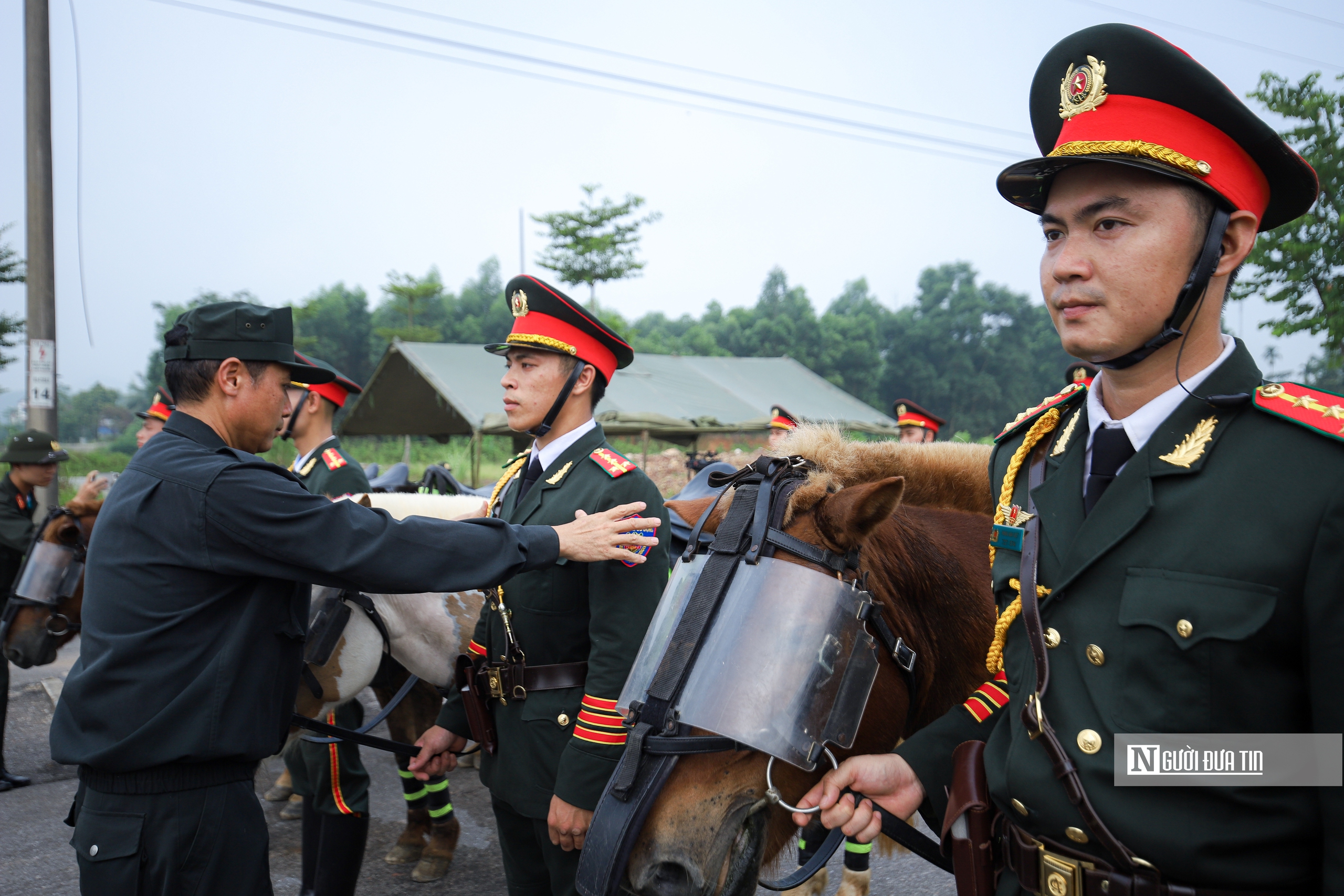Một buổi huấn luyện của đội Kỵ binh có gì đặc biệt?- Ảnh 2. Một buổi huấn luyện của đội Kỵ binh có gì đặc biệt?- Ảnh 2.