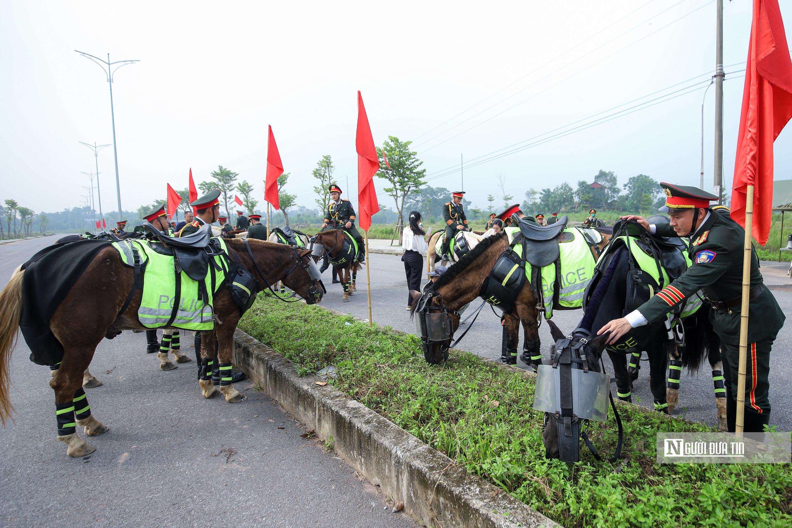Một buổi huấn luyện của đội Kỵ binh có gì đặc biệt?- Ảnh 10. Một buổi huấn luyện của đội Kỵ binh có gì đặc biệt?- Ảnh 10.