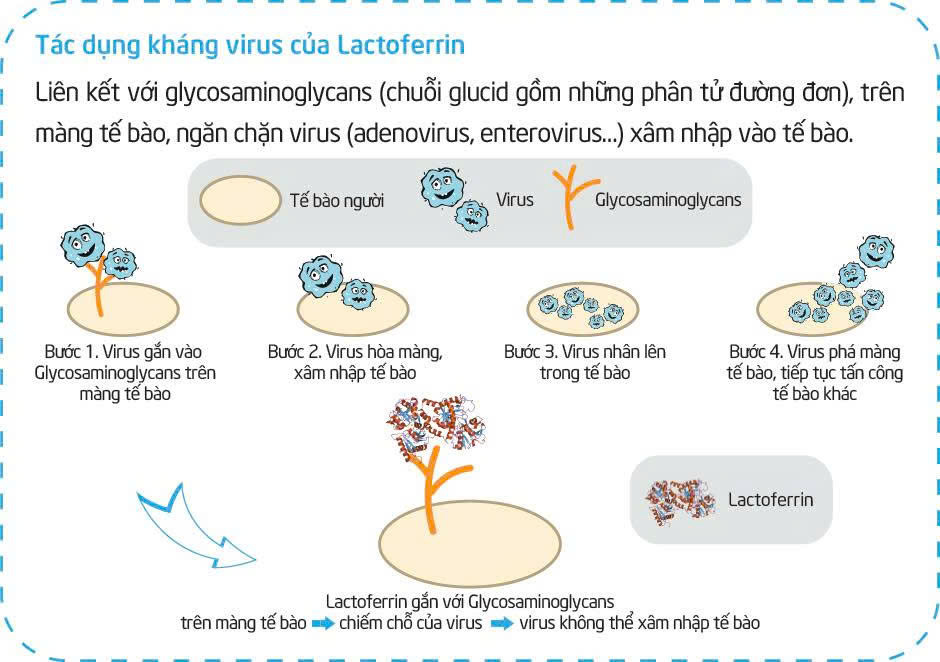 Tìm hiểu loại sữa công thức đang được nhiều mẹ “lùng sục” giúp trẻ khỏe mạnh, ít ốm vặt- Ảnh 2. Tìm hiểu loại sữa công thức đang được nhiều mẹ “lùng sục” giúp trẻ khỏe mạnh, ít ốm vặt- Ảnh 2.