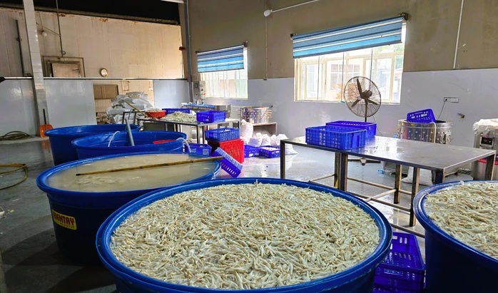 Phát hiện hàng tấn chân gà ngâm hóa chất trong kho đông lạnh chuẩn bị đưa ra thị trường- Ảnh 1. Phát hiện hàng tấn chân gà ngâm hóa chất trong kho đông lạnh chuẩn bị đưa ra thị trường- Ảnh 1.