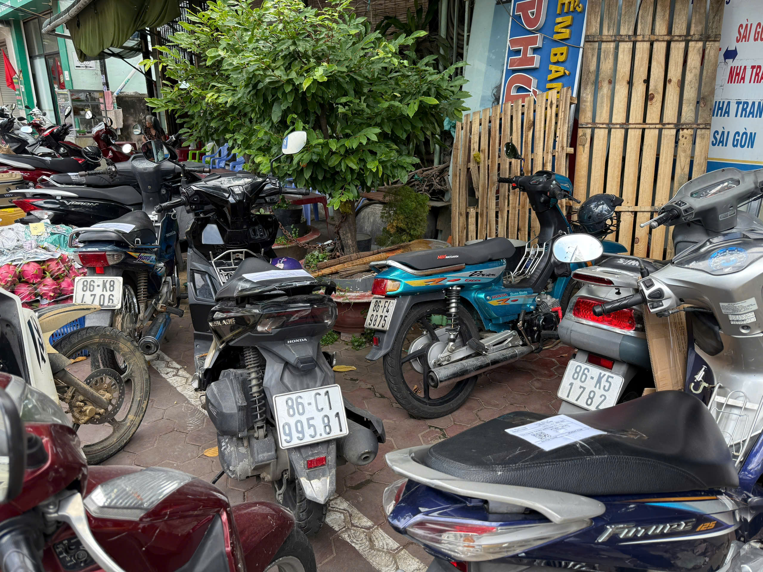 Nhiều mức giá cho cùng tuyến Phan Thiết – Đà Lạt, ngành chức năng nói gì? - Ảnh 4.