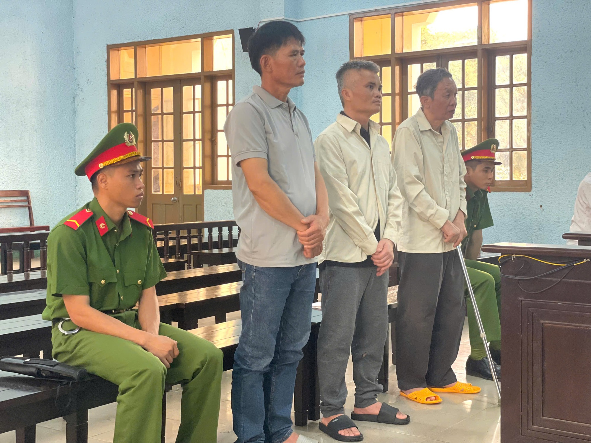 Chủ tịch Công ty chuyên trồng rừng hầu tòa vì phá rừng - Ảnh 1. Chủ tịch Công ty chuyên trồng rừng hầu tòa vì phá rừng - Ảnh 1.