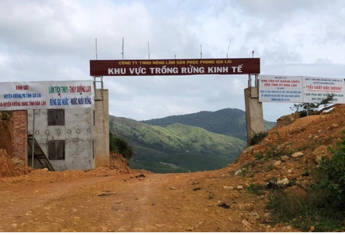 Chủ tịch Công ty chuyên trồng rừng hầu tòa vì phá rừng - Ảnh 2. Chủ tịch Công ty chuyên trồng rừng hầu tòa vì phá rừng - Ảnh 2.