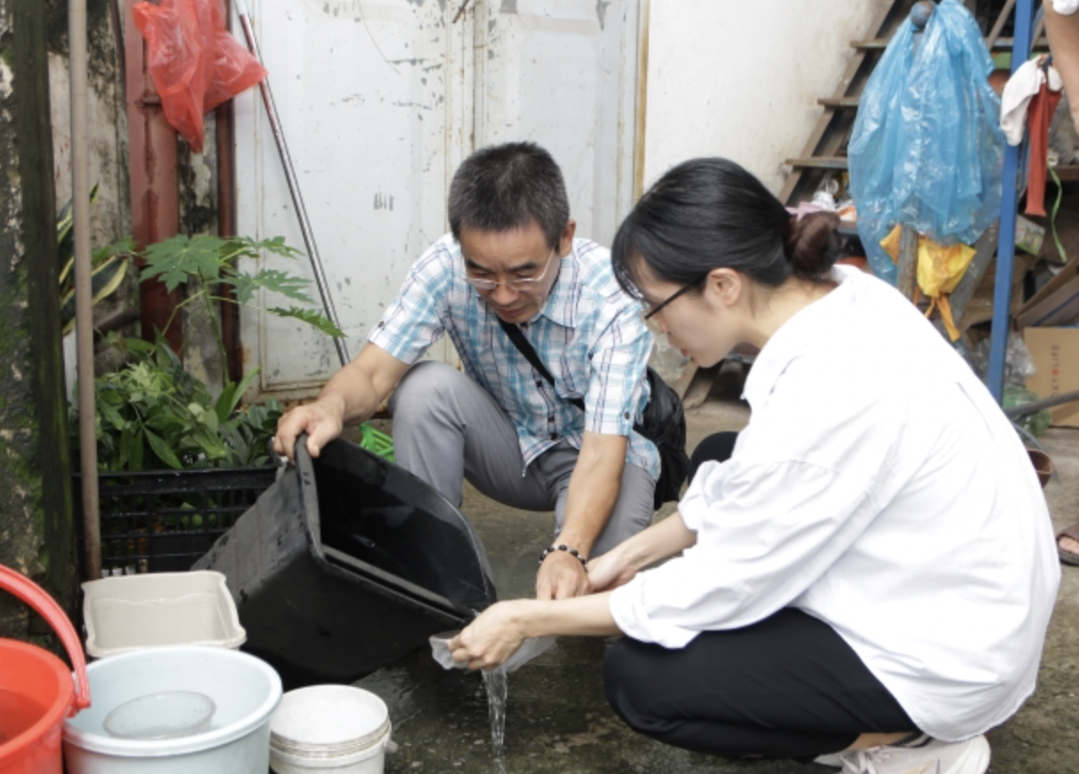 Tổ chức, cá nhân vi phạm quy định phòng, chống dịch sốt xuất huyết sẽ bị xử lý nghiêm- Ảnh 1.