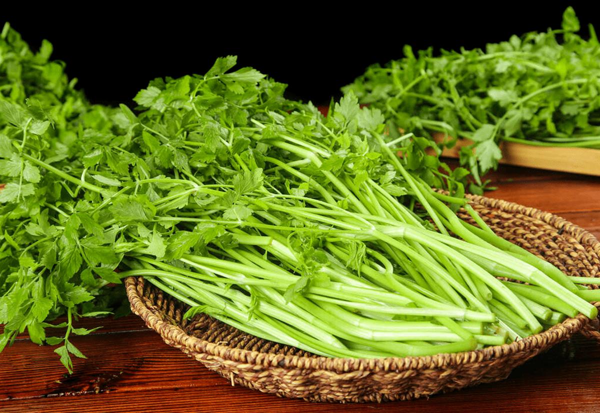 2 loại rau người Việt thích mê dễ là "ổ sán", nhất là cái số 1 - Ảnh 1.