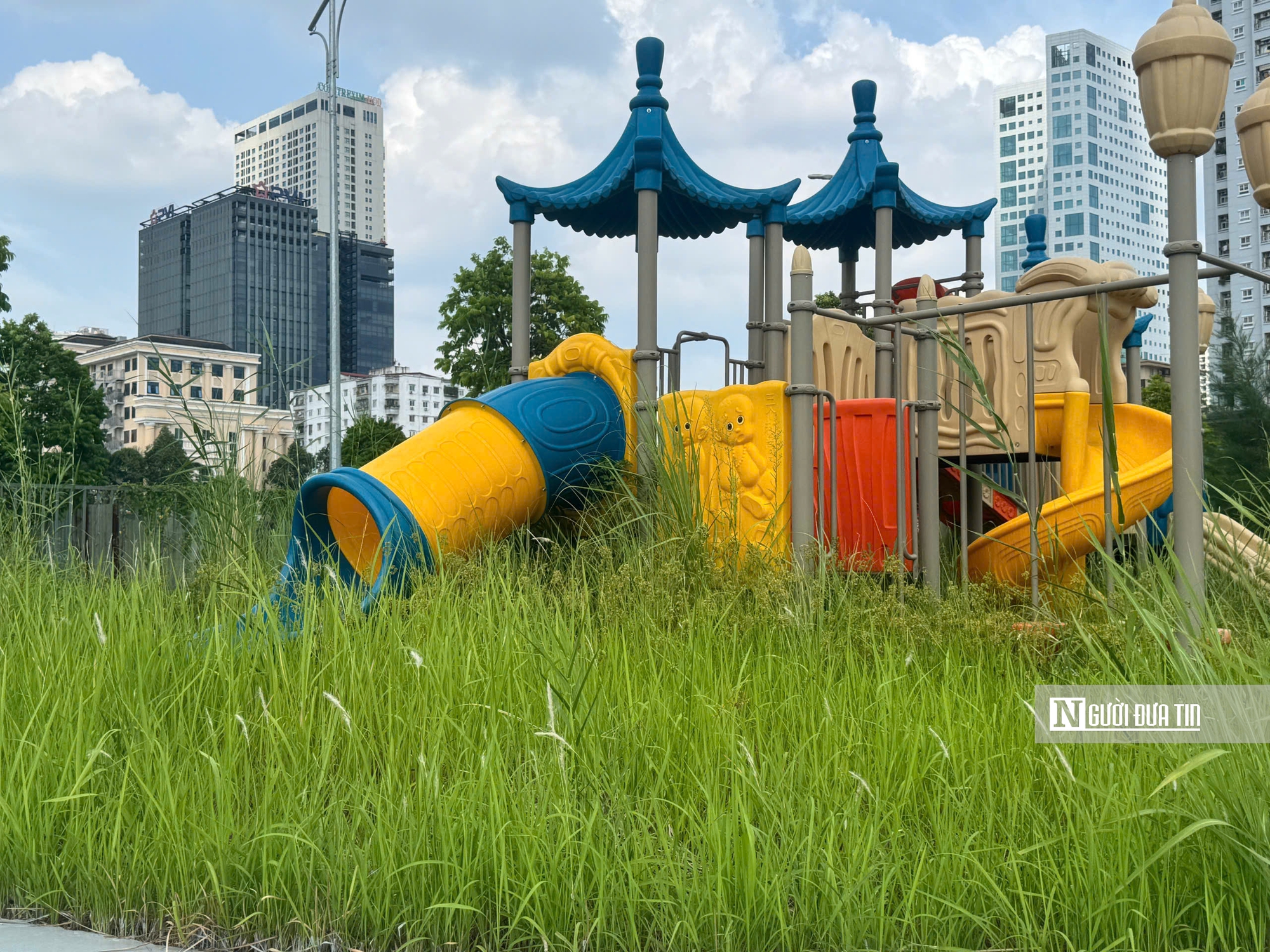 Cá chết bốc mùi, cỏ dại mọc quá đầu ở công viên hơn 700 tỷ đồng tại Hà Nội- Ảnh 4. Cá chết bốc mùi, cỏ dại mọc quá đầu ở công viên hơn 700 tỷ đồng tại Hà Nội- Ảnh 4.
