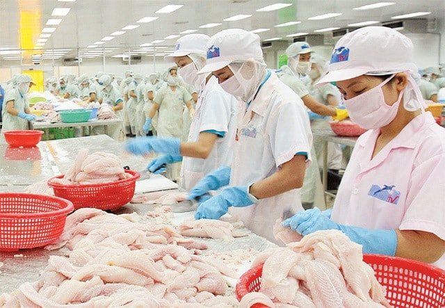 Thủy sản Hùng Vương bị xử phạt - Ảnh 2.