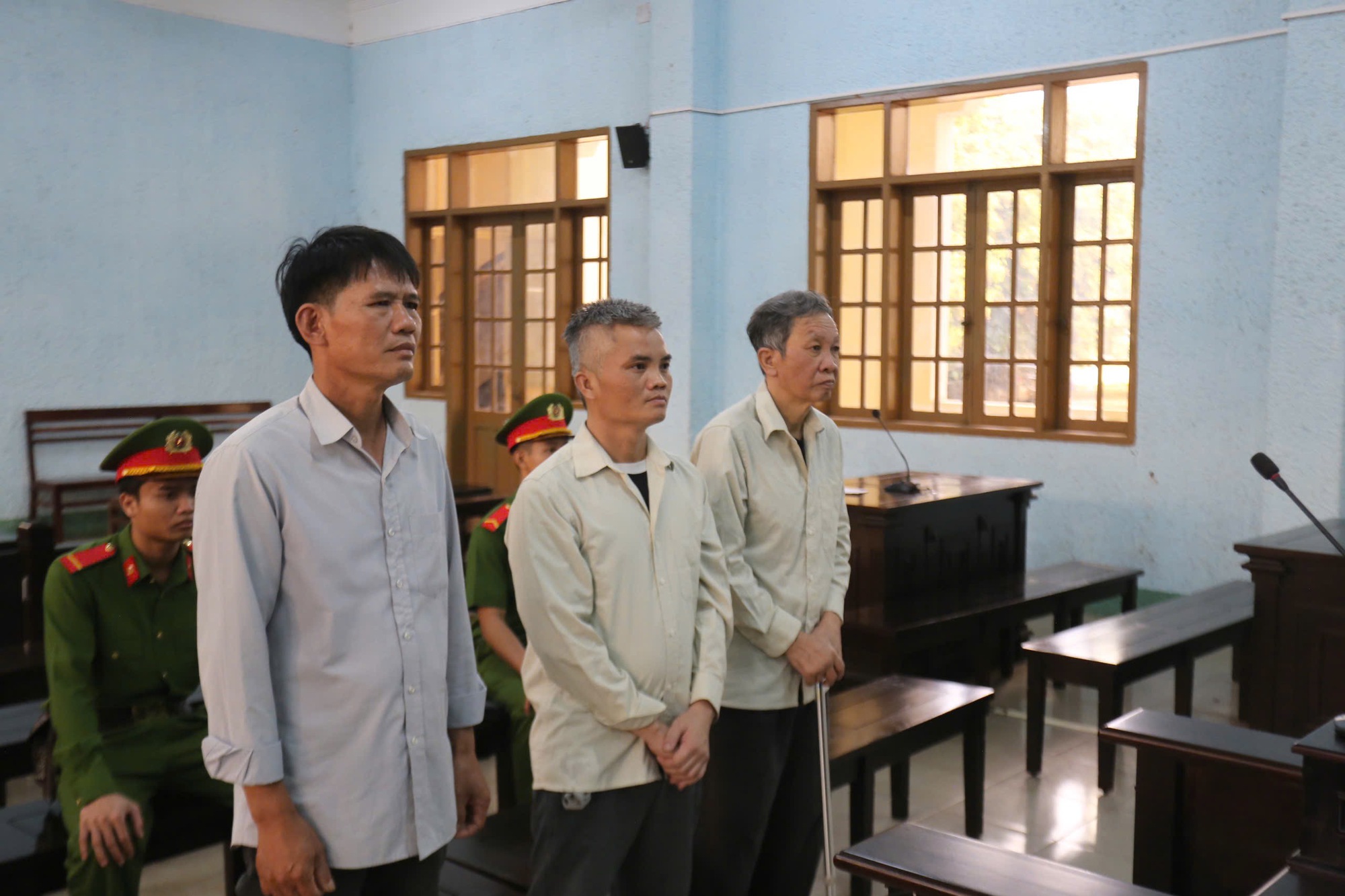 Tuyên án chủ tịch một công ty trồng rừng có hành vi phá rừng- Ảnh 1.