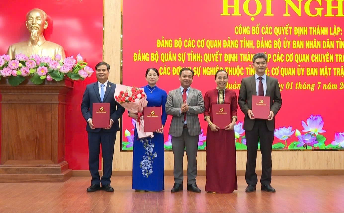 Kiện toàn các Đảng bộ và cơ quan mới tại Quảng Ngãi- Ảnh 5.