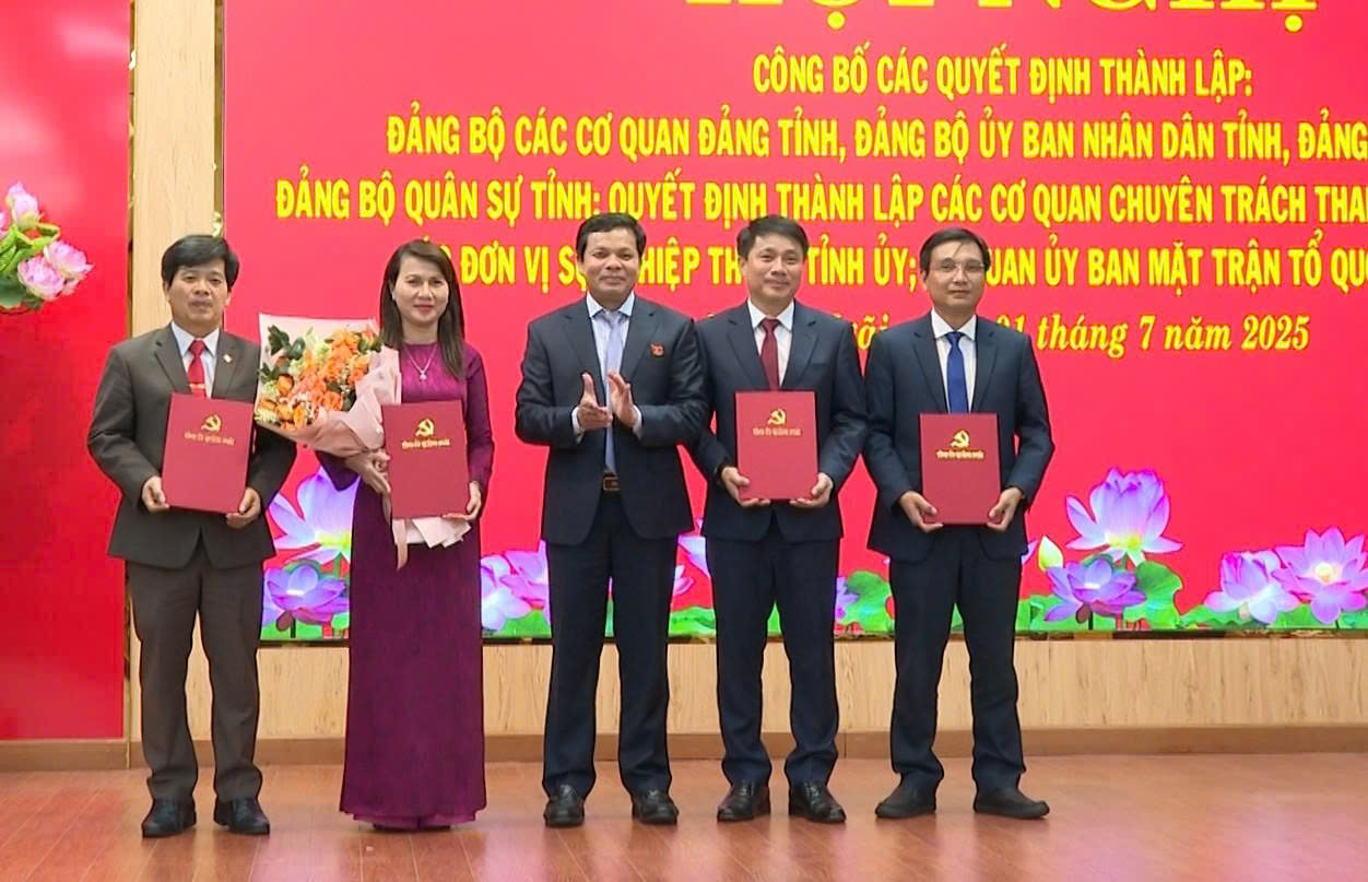 Kiện toàn các Đảng bộ và cơ quan mới tại Quảng Ngãi- Ảnh 6.