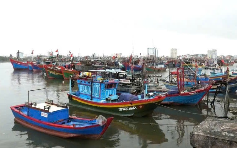 Đồn Biên phòng Tam Quan Nam cứu hộ thành công ngư dân gặp nạn trên biển- Ảnh 3.