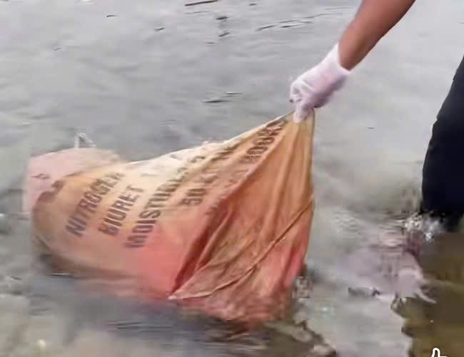 Quảng Trị: Người dân bức xúc vì xác heo chết vứt ở suối - Ảnh 1.
