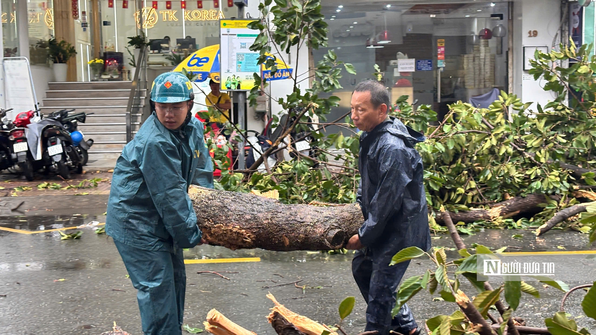 Tp.HCM: Cây to lâu năm gãy đổ đè phương tiện lưu thông trên đường- Ảnh 1.