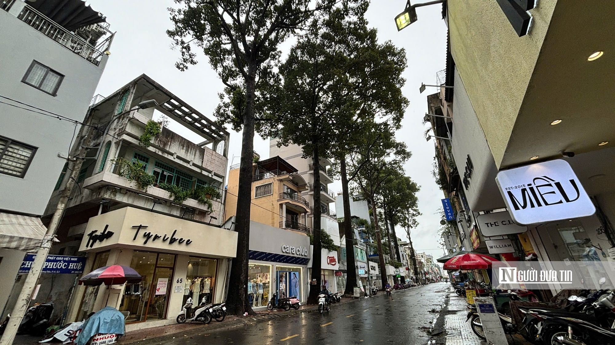 Tp.HCM: Cây to lâu năm gãy đổ đè phương tiện lưu thông trên đường- Ảnh 12.