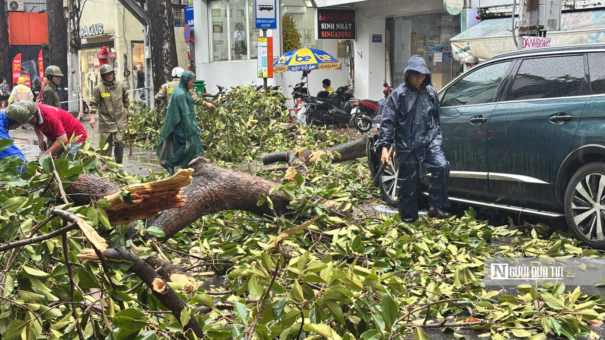 Tp.HCM: Cây to lâu năm gãy đổ đè phương tiện lưu thông trên đường- Ảnh 13.
