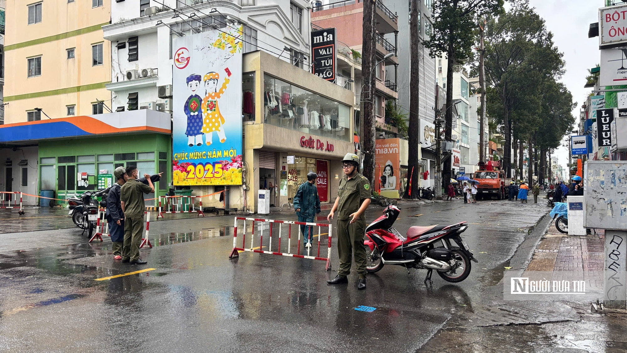 Tp.HCM: Cây to lâu năm gãy đổ đè phương tiện lưu thông trên đường- Ảnh 10.