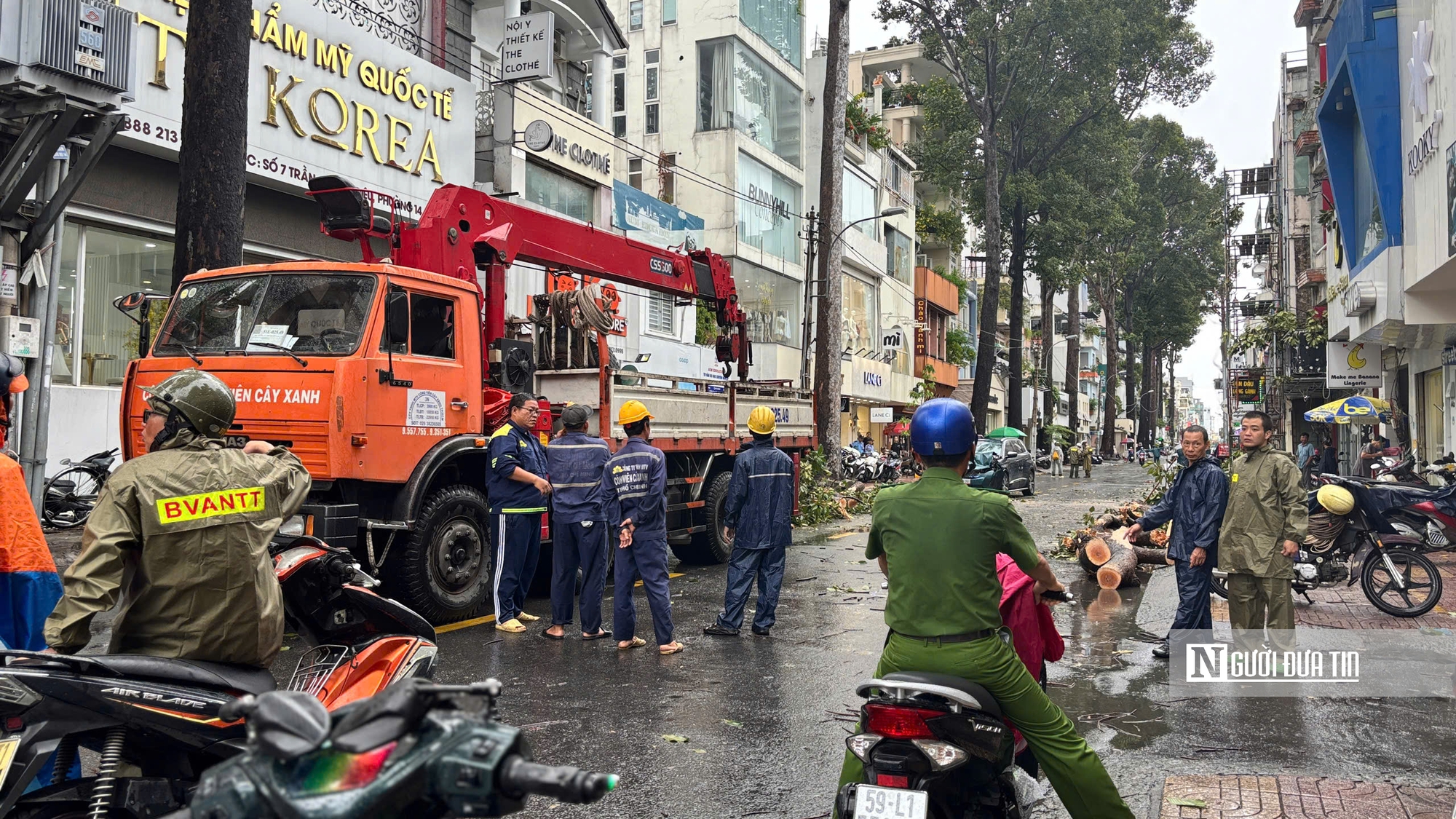 Tp.HCM: Cây to lâu năm gãy đổ đè phương tiện lưu thông trên đường- Ảnh 11.