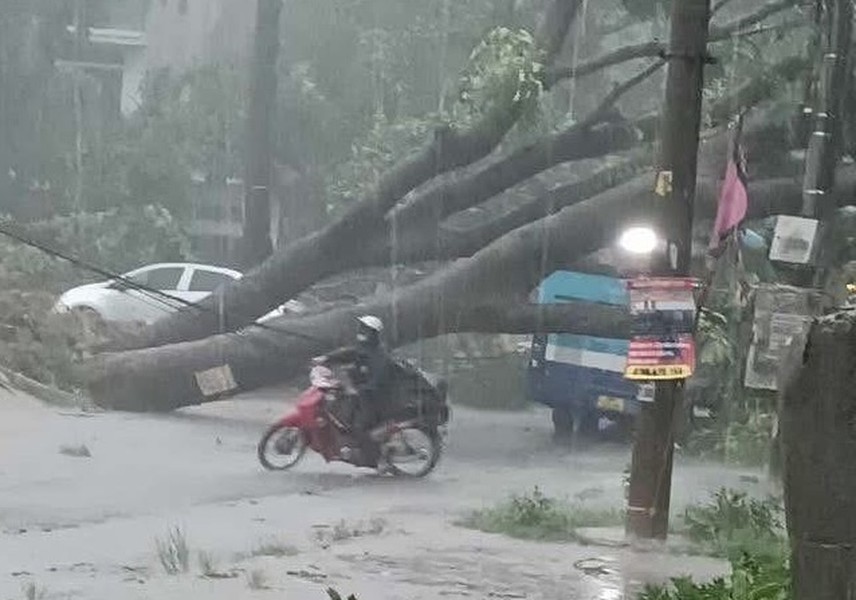 Hà Nội khẩn trương khắc phục hơn 940 cây đổ, gãy cành sau trận dông lớn
- Ảnh 1. Hà Nội khẩn trương khắc phục hơn 940 cây đổ, gãy cành sau trận dông lớn
- Ảnh 1.