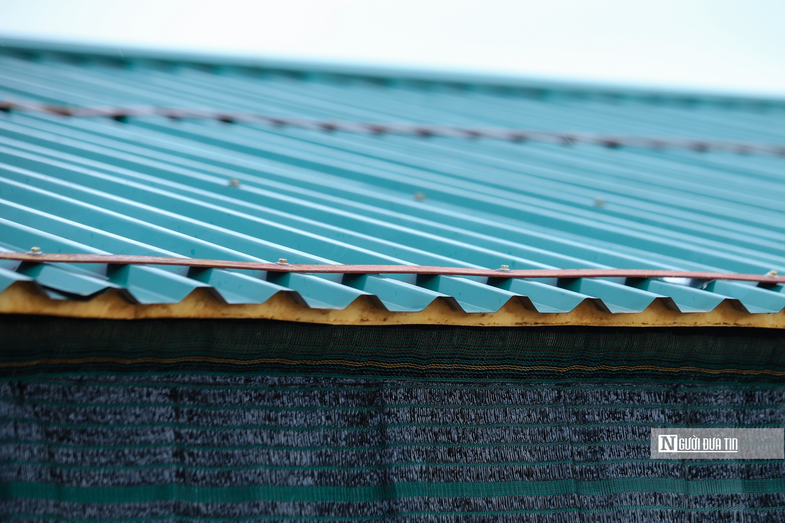 Xóm nổi ven sông Hồng trước bão số 3- Ảnh 12. Xóm nổi ven sông Hồng trước bão số 3- Ảnh 12.