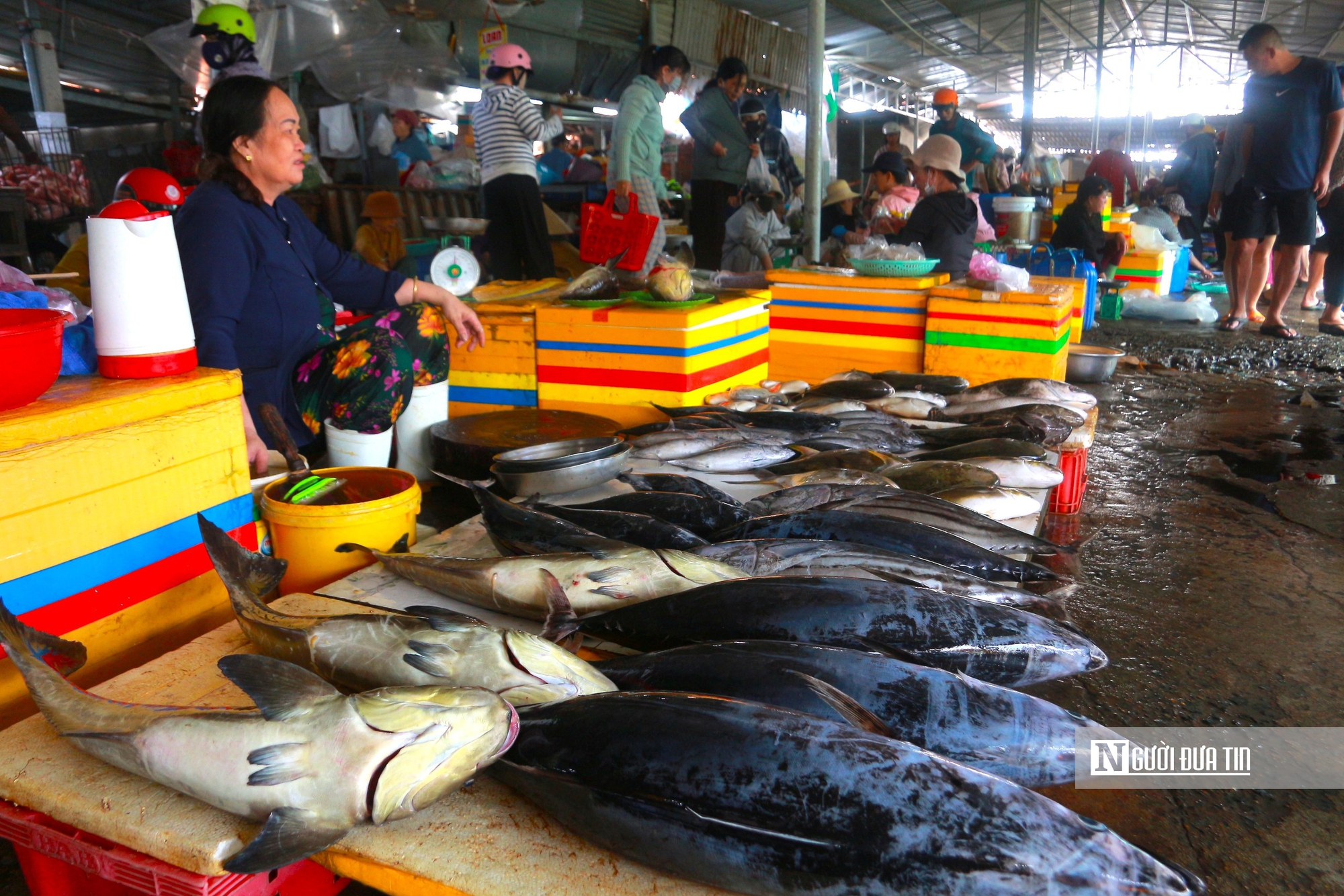 Làng chài ở Đắk Lắk giữa những ngày biển động- Ảnh 11. Làng chài ở Đắk Lắk giữa những ngày biển động- Ảnh 11.