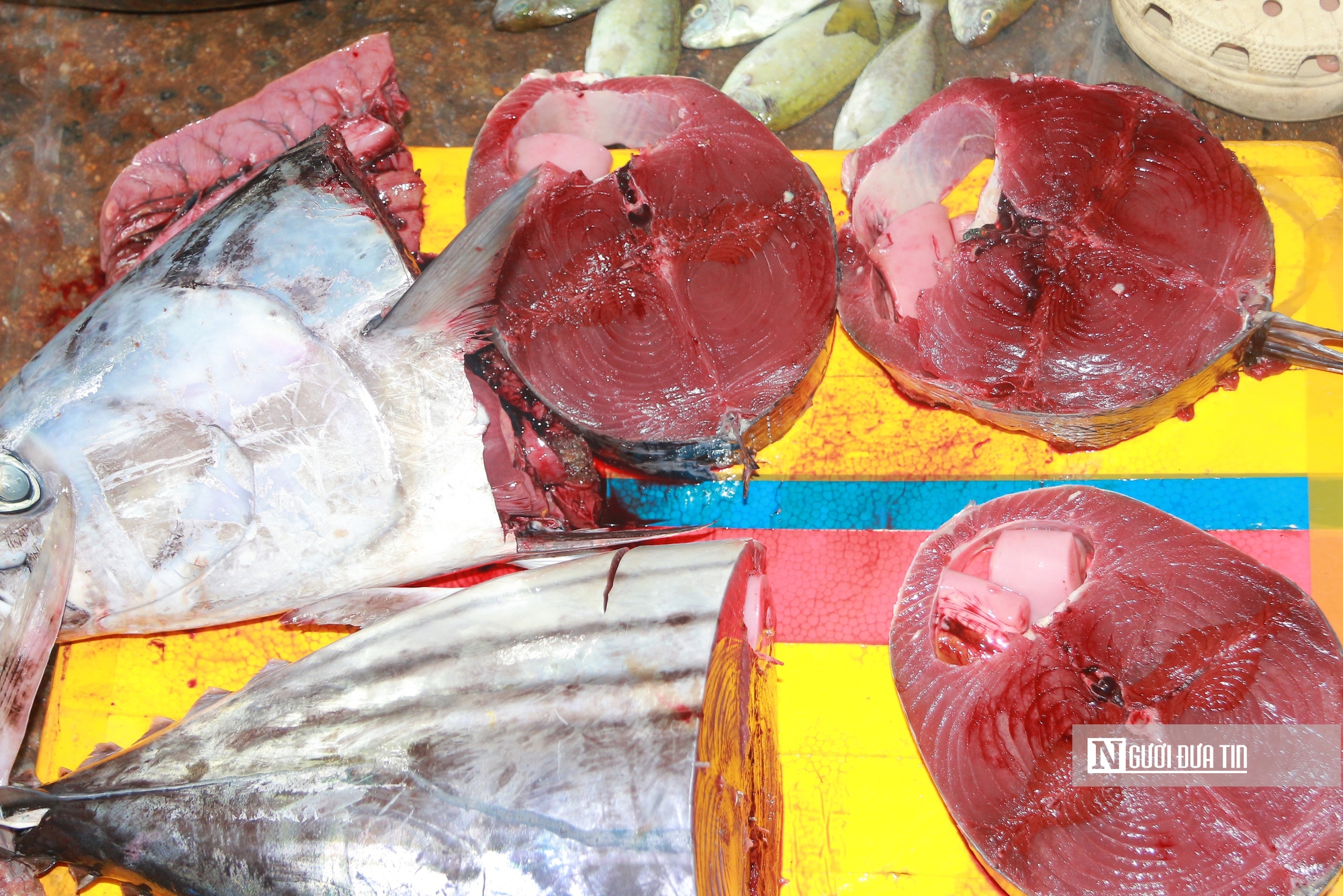 Làng chài ở Đắk Lắk giữa những ngày biển động- Ảnh 13. Làng chài ở Đắk Lắk giữa những ngày biển động- Ảnh 13.