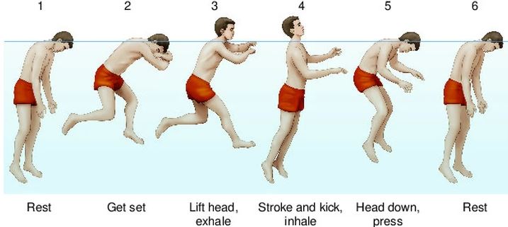 Gặp sự cố trên biển, bơi kiểu nào tăng cơ hội sống sót? - Ảnh 1.
