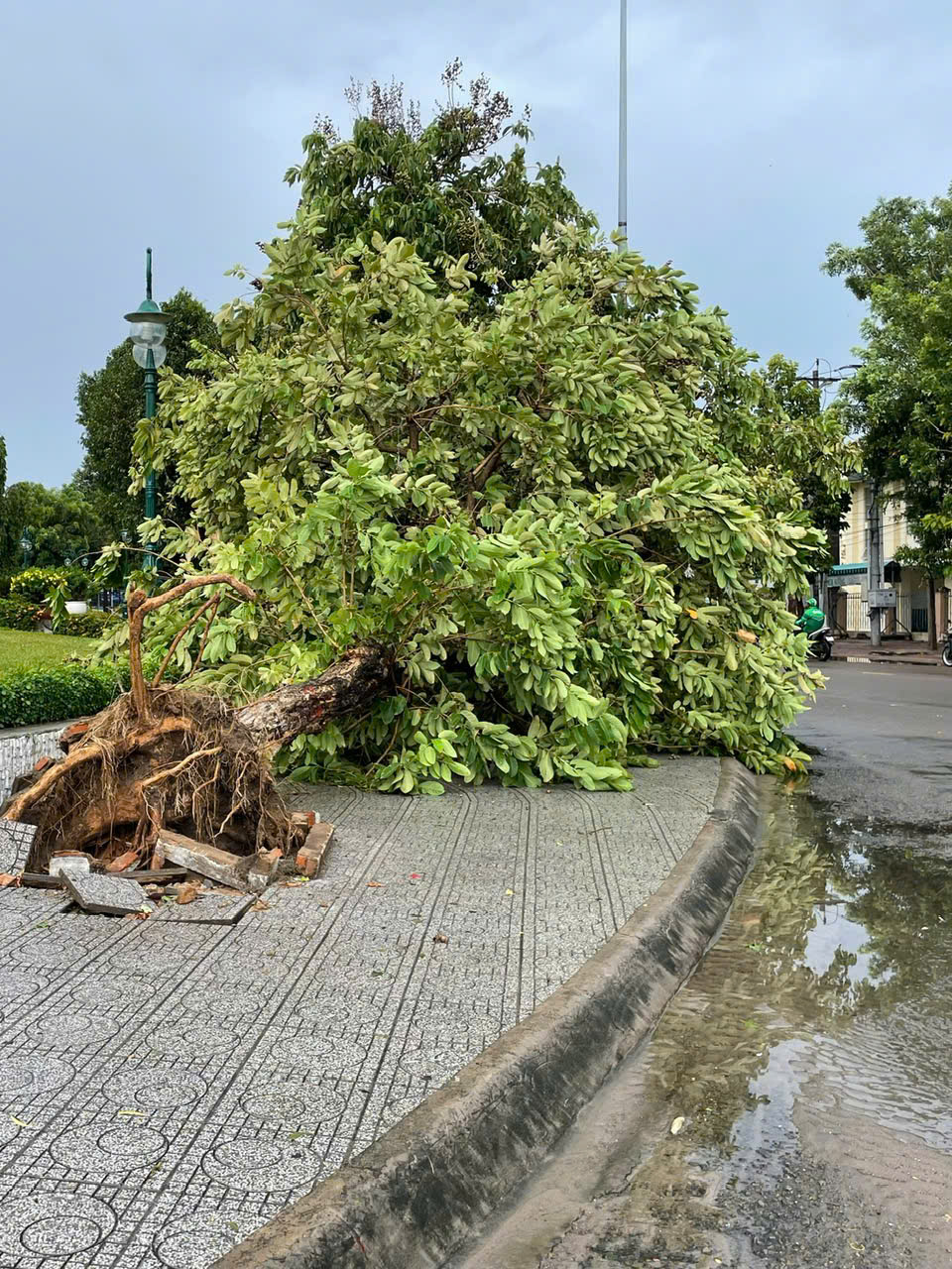 Thiệt hại do mưa, lốc xoáy tại 19 địa phương ở tỉnh Lâm Đồng, ước tính 3 tỷ đồng- Ảnh 4. Thiệt hại do mưa, lốc xoáy tại 19 địa phương ở tỉnh Lâm Đồng, ước tính 3 tỷ đồng- Ảnh 4.