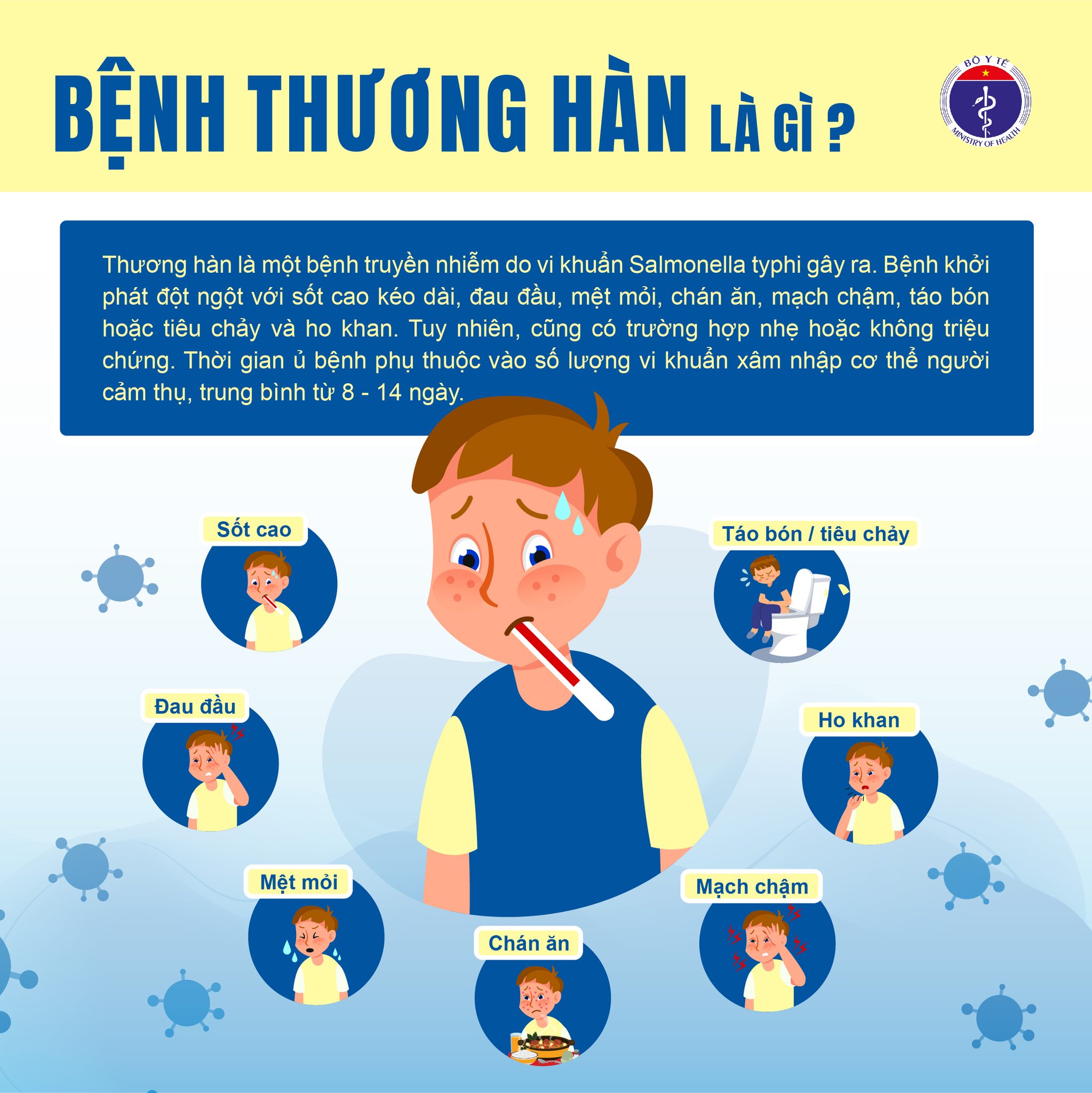 Bộ Y tế khuyến cáo phòng chống loại vi khuẩn thường gặp trong mùa mưa lũ - Ảnh 1.