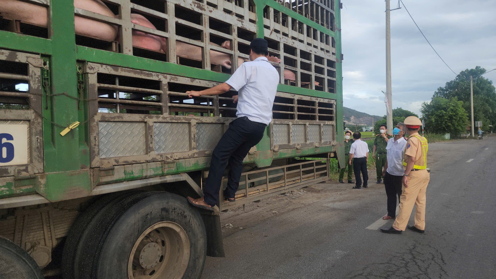 Phát hiện xe tải chở 50 con heo không rõ nguồn gốc, không có giấy tờ kiểm dịch- Ảnh 2. Phát hiện xe tải chở 50 con heo không rõ nguồn gốc, không có giấy tờ kiểm dịch- Ảnh 2.