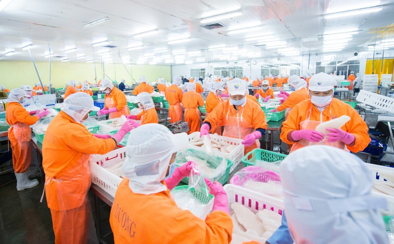 Thủy sản Nam Việt bứt tốc, vượt kế hoạch lợi nhuận sau 6 tháng- Ảnh 1. Thủy sản Nam Việt bứt tốc, vượt kế hoạch lợi nhuận sau 6 tháng- Ảnh 1.