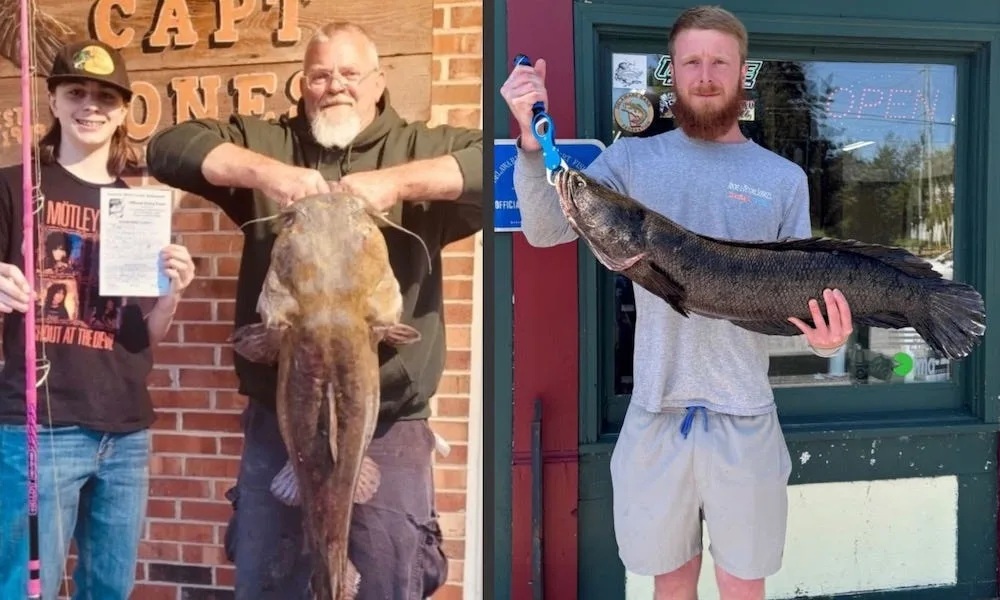 Ngư dân bắt được cá khổng lồ, chính quyền bất ngờ cảnh báo điều này - Ảnh 1.