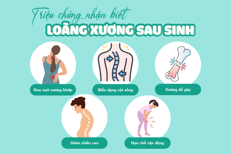 Loãng xương sau sinh: Mối nguy âm thầm nhưng có thể phòng ngừa hiệu quả - Ảnh 3.