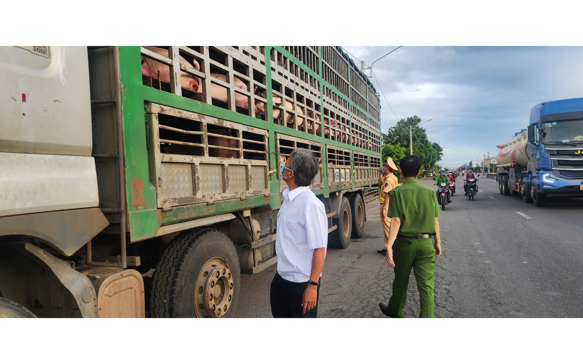 Quản lý thị trường Gia Lai phát hiện và thu giữ 4 tấn thịt heo không rõ nguồn gốc- Ảnh 3.