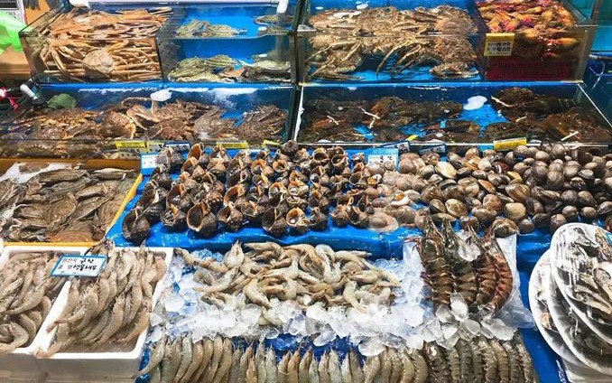 Bác sĩ ngủ gục trong phòng cấp cứu khiến bệnh nhân tử vong - Ảnh 1.