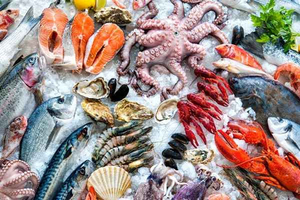 Ăn hải sản suốt 30 năm, đi khám, người đàn ông 64 tuổi sốc nặng trước thông báo của bác sĩ - Ảnh 2.