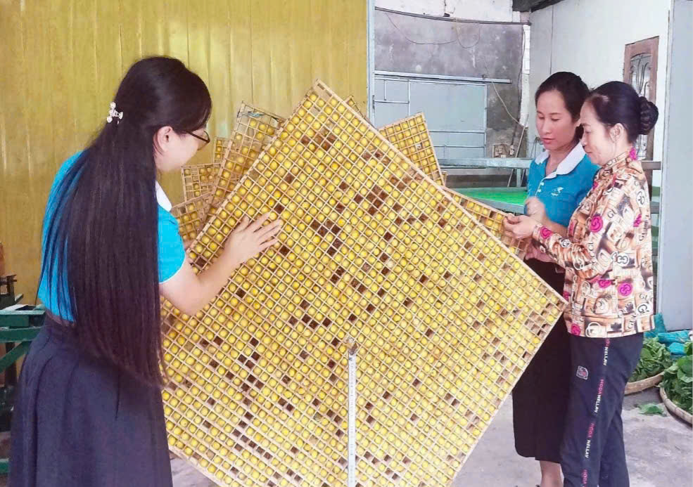 Nghệ An: Nâng cao hiệu quả đánh giá phân hạng sản phẩm OCOP - Ảnh 2.