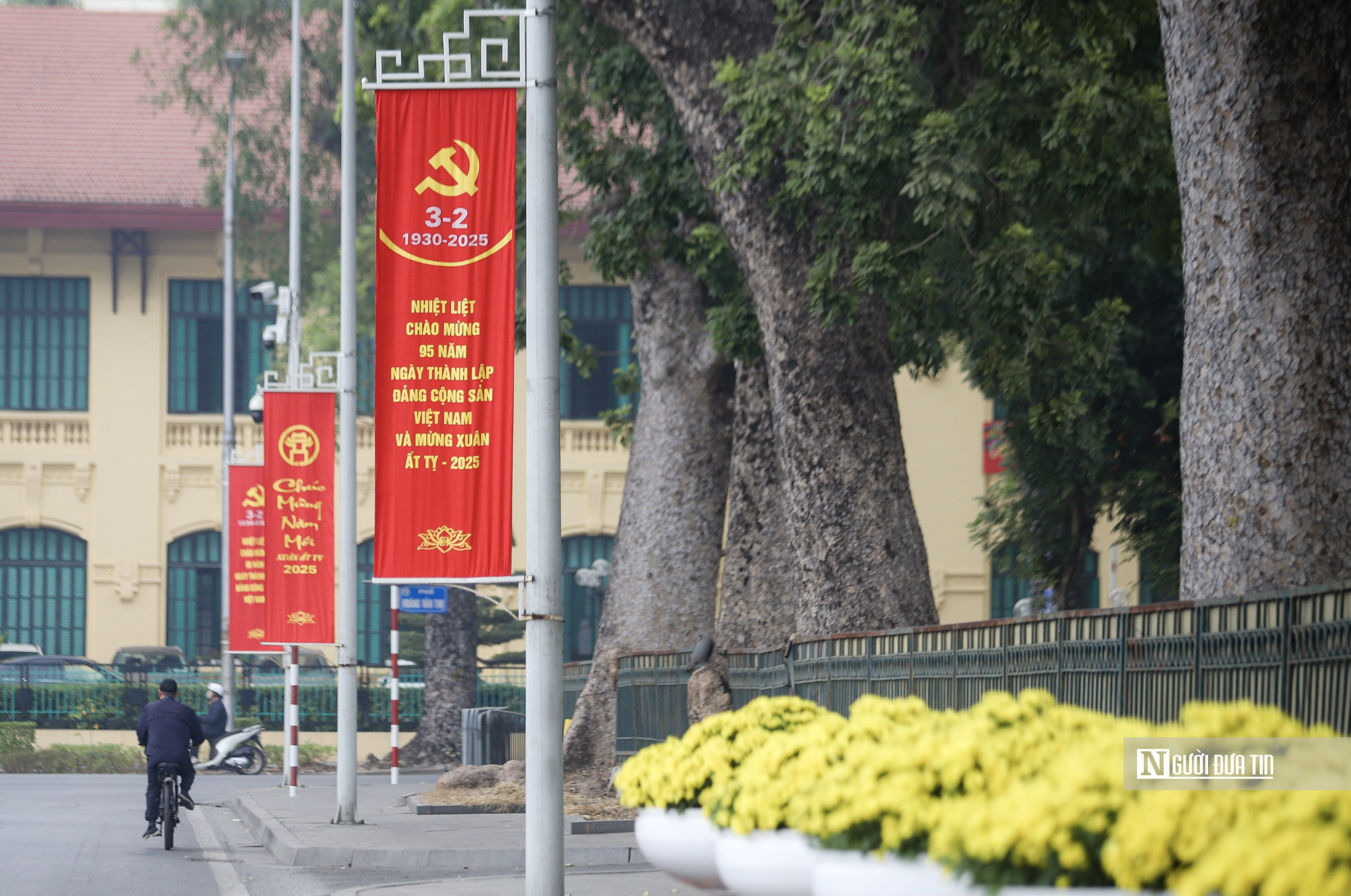 Hà Nội chặt hạ, di chuyển 27 cây xanh để thi công đường Hùng Vương, Độc Lập kéo dài - Ảnh 1.