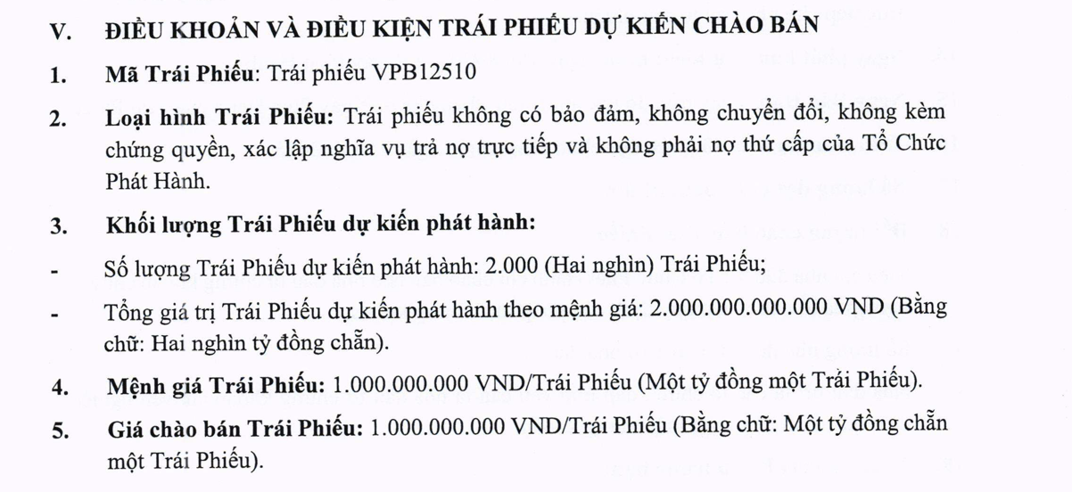 VPBank muốn hút thêm 3.600 tỷ đồng từ kênh trái phiếu - Ảnh 2.